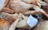 152 کیلو مرغ و بوقلمون کشتار غیر مجاز شده در املش کشف شد