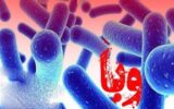 رئیس شبکه بهداشت آستارا: مردم آستارا در معرض ابتلا به وبا قرار دارند