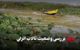 بررسی وضعیت احیای تالاب انزلی- مصائب بزرگترین زیستگاه طبیعی جانوران ایران