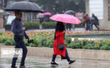 افزایش ۲۴ درصدی بارندگی اردیبهشت ماه در گیلان