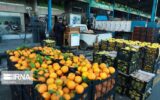 توزیع پرتقال و سیب با قیمت ستاد تنظیم بازار با ۲۰ درصد زیر قیمت بازار