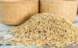 رئیس مؤسسه تحقیقات برنج کشور: کل برنج تولیدی در دنیا تنها ۸ درصد در تجارت جهانی نقش دارد
