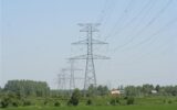 معاون بهره برداری شرکت برق منطقه‌ای گیلان: 72.5 درصد حوادث سطح ولتاژ انتقال، ناشی از درختان بوده است