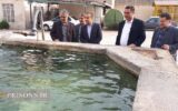 رهاسازی دوهزار قطعه ماهی سردآبی قزل‌آلا در استخرهای زندان رودبار