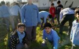 رییس اداره حفاظت و محیط زیست شهرستان لاهیجان:یکی ازمهمترین راهکارها برای مقابله با تغییر اقلیم درختکاری است