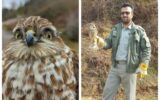 رهاسازی دو قطعه پرنده در زیستگاه طبیعی شهرستان شفت