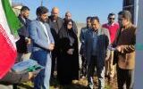 افتتاح پروژه‌های تجمیعی برق در روستای مرزدشت خمام