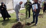 کاشت نهال به یاد اهداکنندگان عضو در بوستان سیمرغ شهر رشت