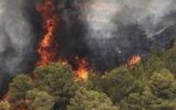 هشدار آتش‌سوزی در مناطق جنگلی و تالابی گیلان