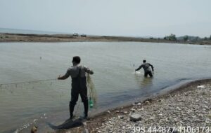 پاکسازی رودخانه کیارود از دام‌های صیادی