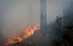 مردم بروز آتش در عرصه‌های طبیعی را جدی بگیرند