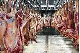 آغاز توزیع گوشت قرمز وارداتی در استان گیلان