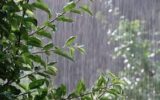 پیش‌بینی بارش رگباری باران در گیلان