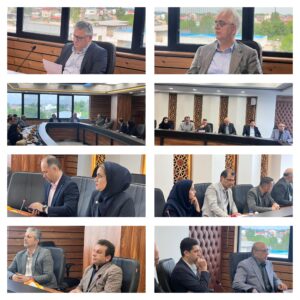 بررسی مشکلات ناشی از طرح جامع مالیاتی