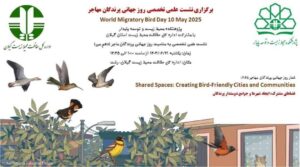 نشست علمی ـ تخصصی به مناسبت روز جهانی پرندگان مهاجر