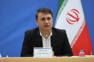 سمن‌ها بازوی توانمند دولت در حل مسائل اجتماعی هستند