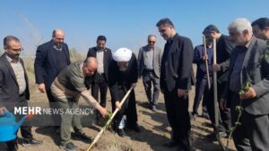 پویش «سرو ایران» به یاد رهبر شهید