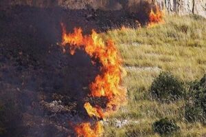 کاهش۴۲ درصدی آتش سوزی علفزارها در رشت