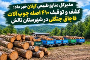 کشف و توقیف ۴۱۰ اصله چوب‌آلات قاچاق در تالش