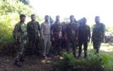 قاچاقچیان اشجار جنگلی پناهگاه حیات‌وحش لوندویل دستگیر شدند