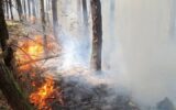 مدیرکل منابع طبیعی گیلان خبر داد؛ خاموشی آتش در جنگل‌ها