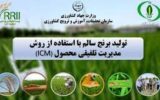 تولید برنج با روش مدیریت تلفیقی محصول ICM در استان گیلان