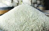 خرید توافقی برنج در راستای حمایت از شالیکاران گیلان