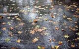 بارش‌ها در گیلان ۱۵درصد کاهش یافت