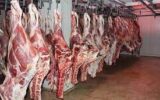 سیاست‌های حمایتی از تولید گوشت قرمز ادامه دارد
