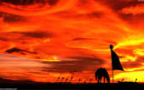 خون حسین ع” از جنس دیگری است