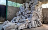 کشف 24 تن چاي احتکاري در انبار يک واحد صنفي