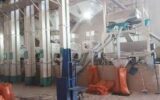 نرخ تبدیل شلتوک به برنج سفید مصوب شد