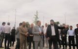 قطع دست غارتگران توسط قانونگذار 