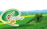 سرشماری ۲۴ درصد از بهره‌برداران کشاورزی گیلان