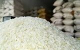 آغاز طرح نظارت ضربتی برنج در گیلان