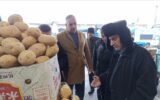 ابهام در توزیع سیب‌زمینی دولتی در گیلان