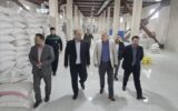 حمایت از توسعه اشتغال محلی اولویت‌ مهم دولت است