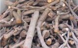 کشف 5 تن چوب جنگلي قاچاق در سياهکل