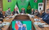 ضرورت بیمه اجباری برای برنج‌کاران و دامداران گیلان