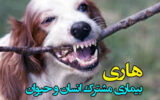 هاری تهدید خاموش سلامت عمومی