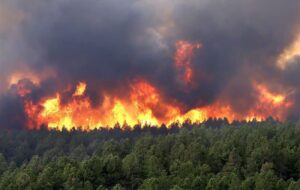 هشدار نسبت به افزایش خطر آتش‌سوزی